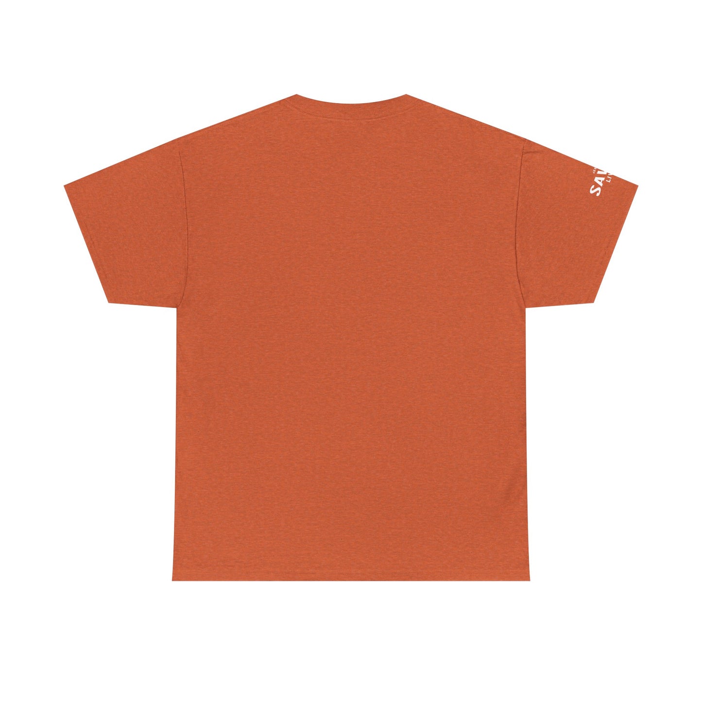 Daniel 3:18 T-Shirt